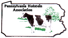 PA Holsteins