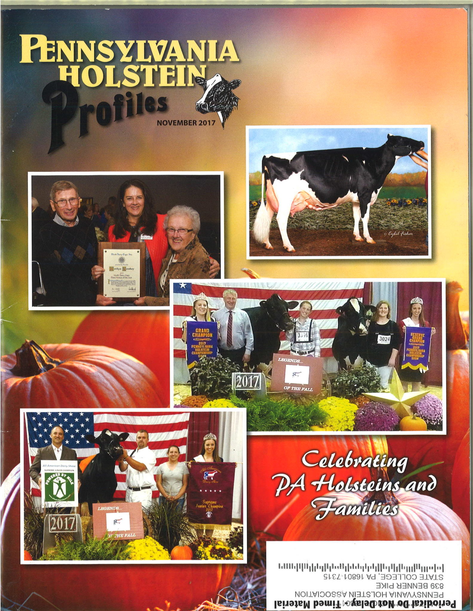 PA Profiles PA Holsteins