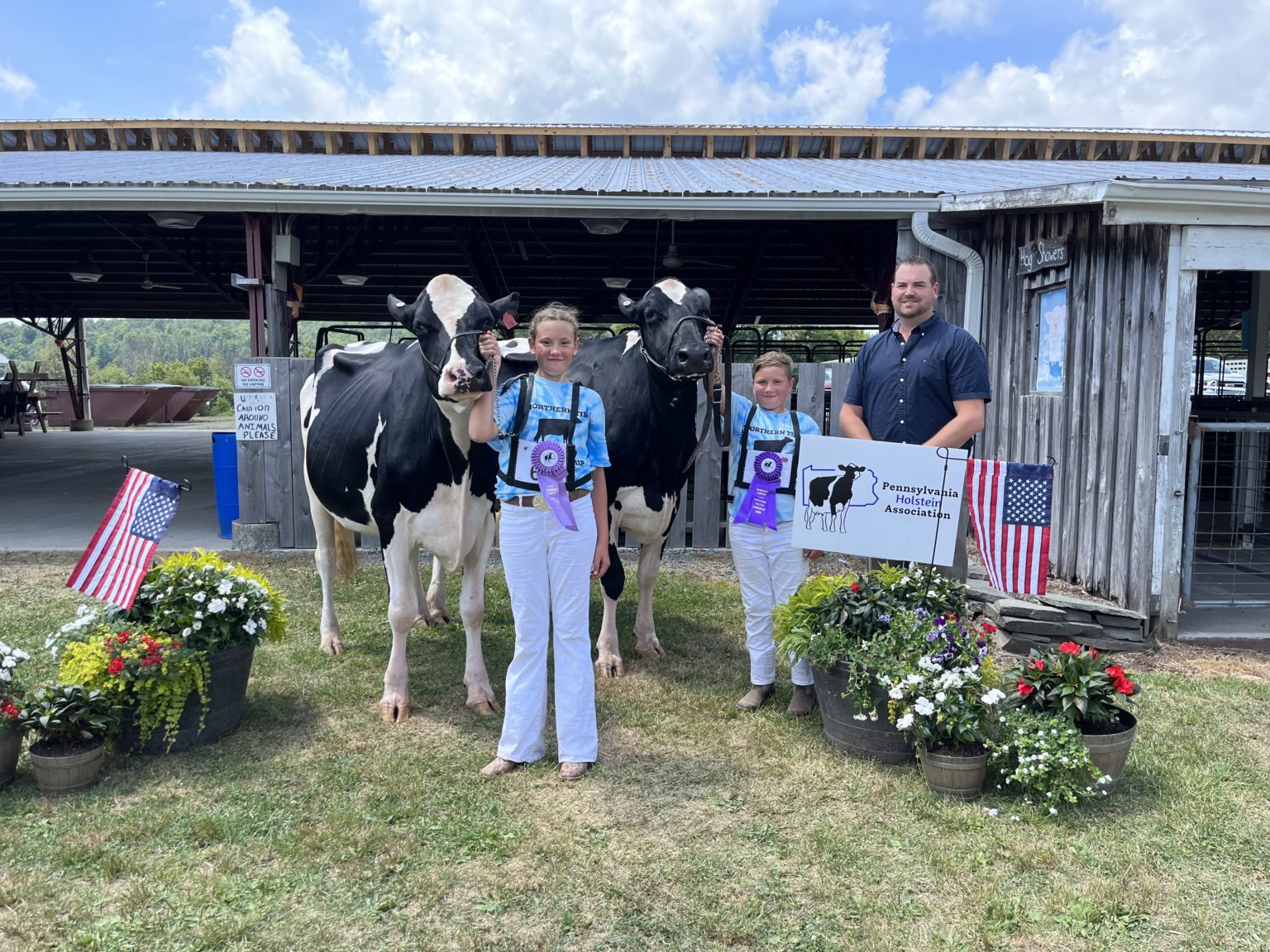 Show Gallery PA Holsteins